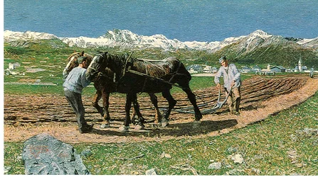 Das Pflügen